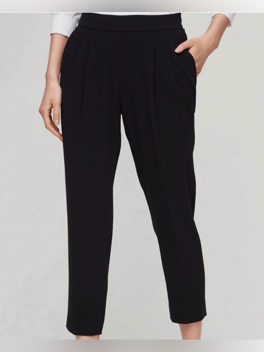 Aritzia Babaton Cohen Ankle Pant